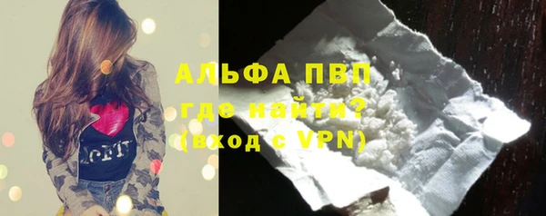 крисы Баксан