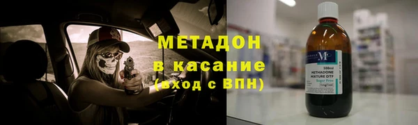 индика Арсеньев