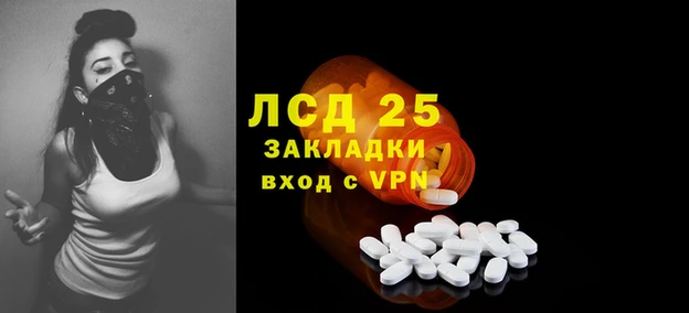 индика Арсеньев