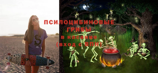 индика Арсеньев