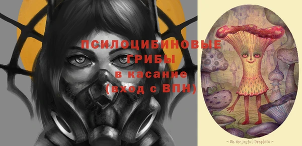 крисы Баксан