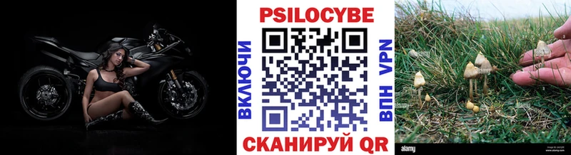 маркетплейс клад  Славгород  Галлюциногенные грибы ЛСД  купить  
