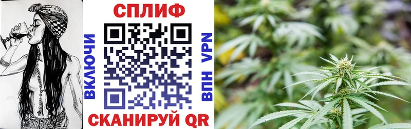 Бошки марихуана план  нарко площадка клад  Славгород 